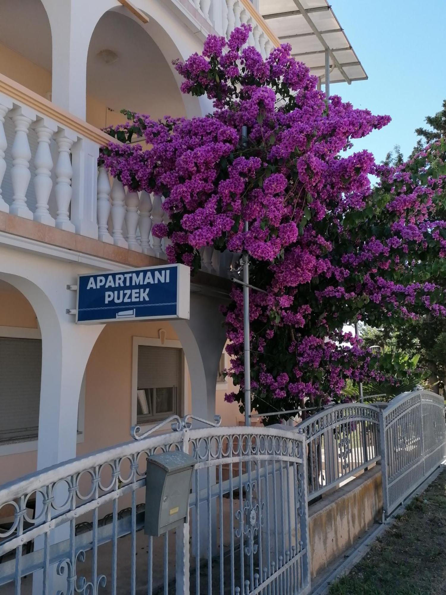 ביבינייה Apartmani Puzek מראה חיצוני תמונה